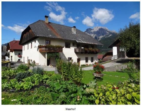 Lissis Bauernhof Appartments Gundersheim Екстер'єр фото